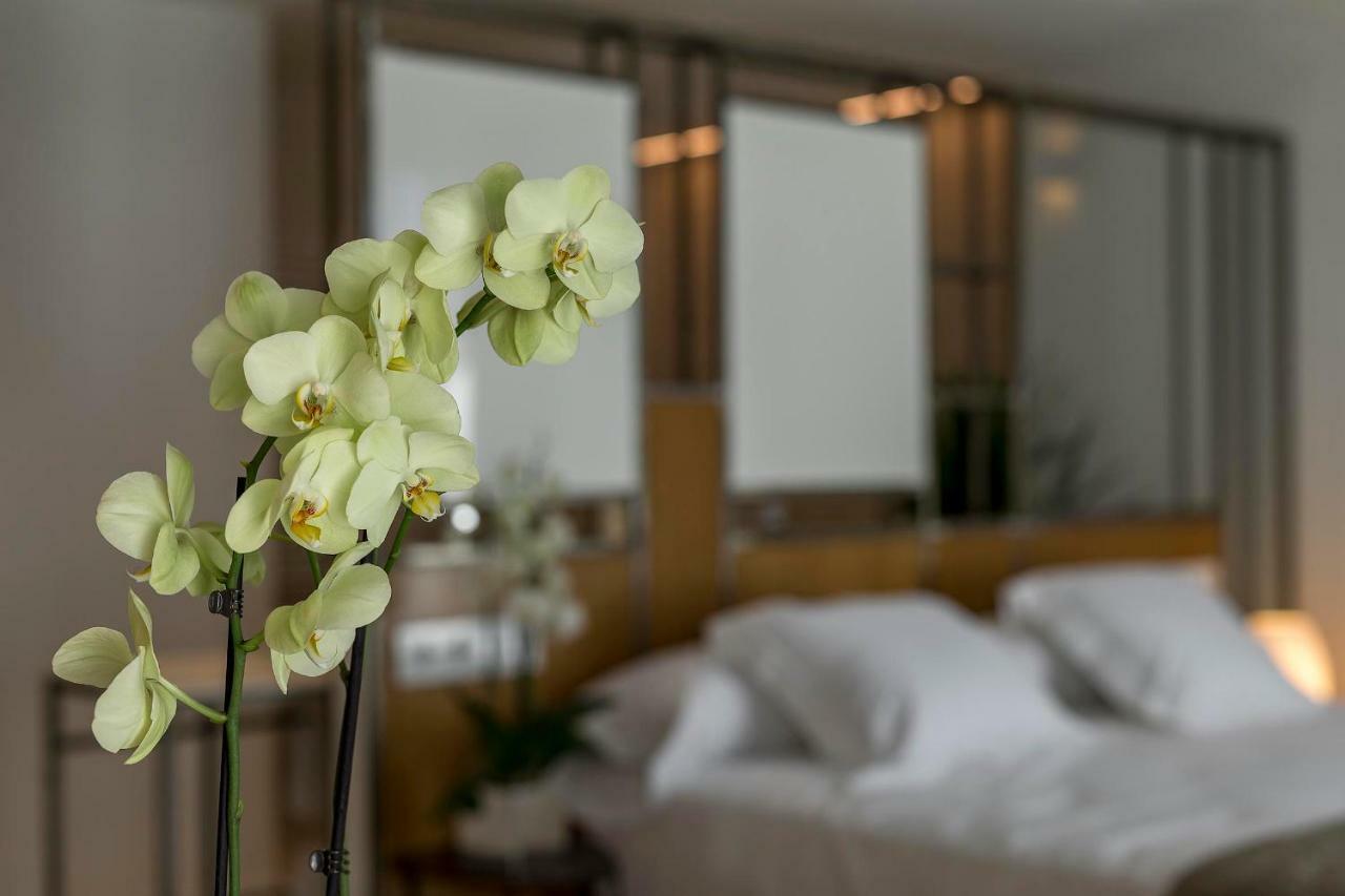 Vinatea Suites 莫雷拉 外观 照片